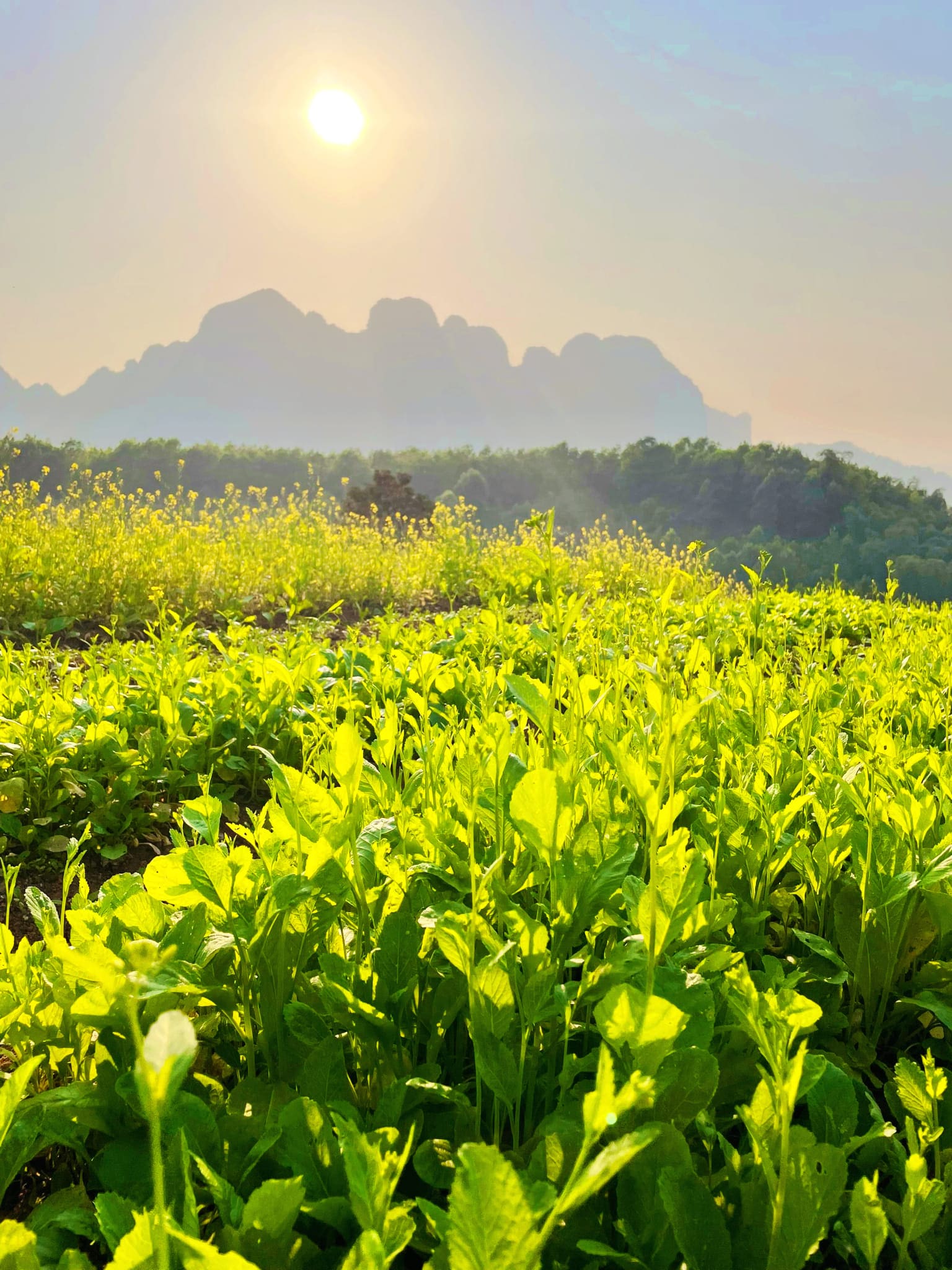 Anh Resort Ngau Nhien 3 Min