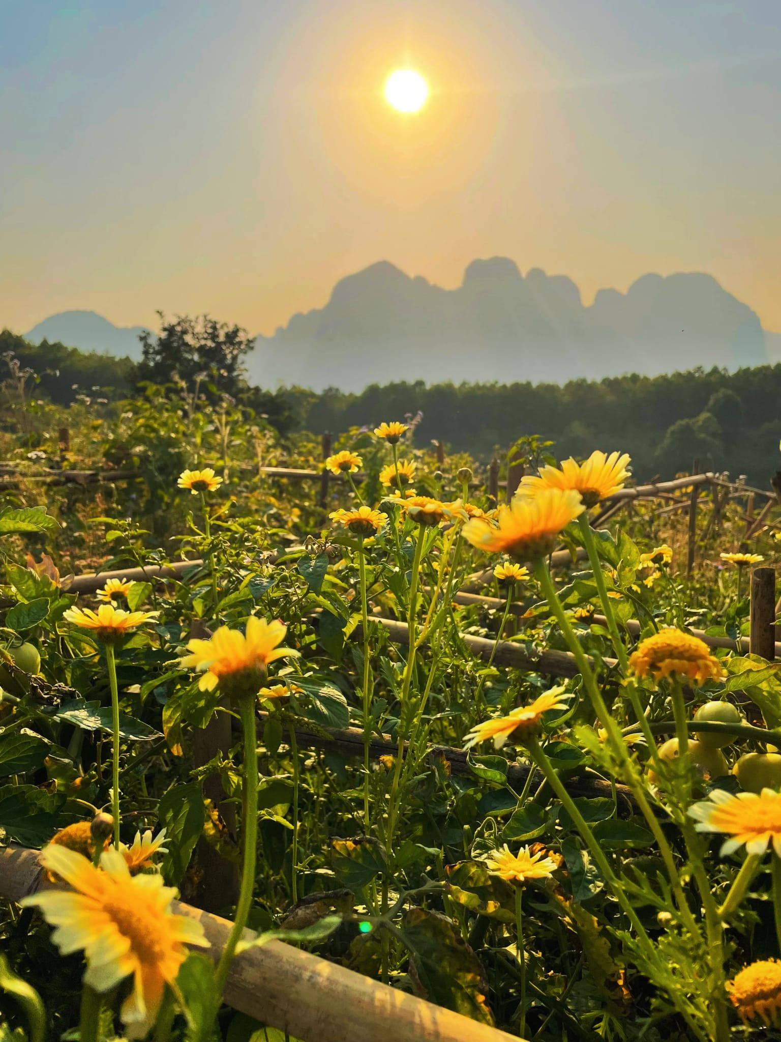 Anh Resort Ngau Nhien Min