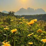 Anh Resort Ngau Nhien Min